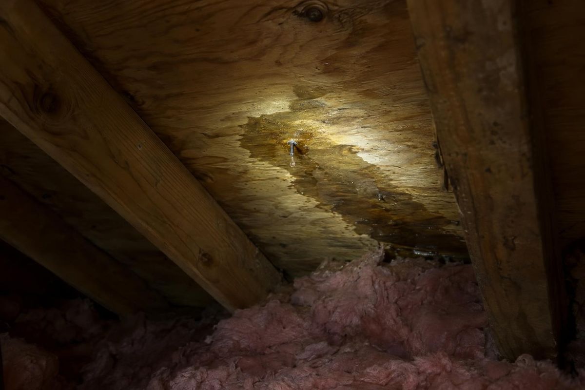 Roof Leak Repair